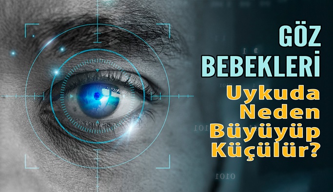 Gözbebekleri Uykuda Neden Büyüyüp Küçülür?